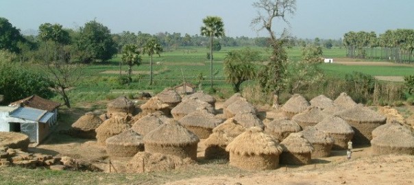 พุทธคยา 2545 บ้านนางสุชาดา