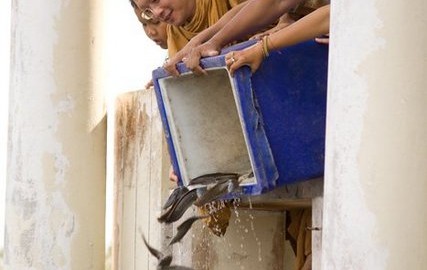 ปล่อยปลาหนองค้อ 21 พ.ย.53