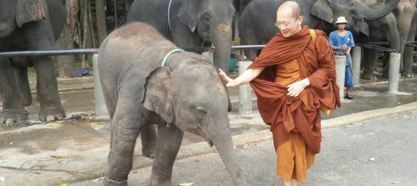 วัดพระศรีรัตนมหาธาตุวรมหาวิหาร จ.พิษณุโลก