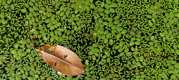 อกหัก ผิดหวังจากความรัก ควรทำอย่างไรดี?