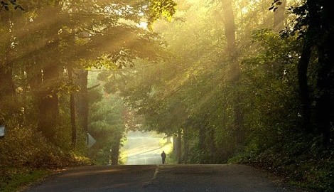 เพราะตั้งเป้าหมายไว้ผิด…อยากสงบ!