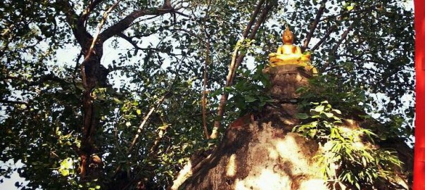 เมื่อจิตรู้ เสมือนยืมขันธ์มาทิ้งขันธ์อีกที ใช่ไหมครับ