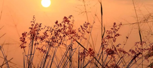 ความทุกข์ใจเรื่องลูกที่ป่วย เป็นลมชัก