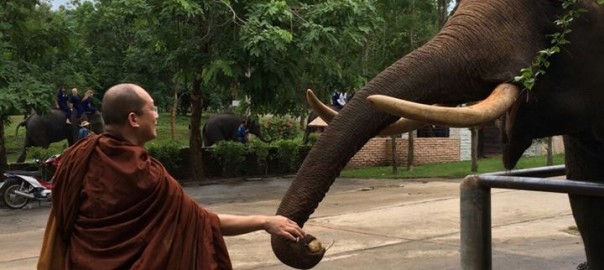 บุญทุกโอกาส