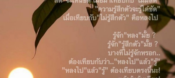 รู้ตรงแวบนั่นแหละ..รู้สึกตัว