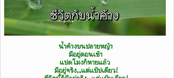 ชีวิตกับน้ำค้าง