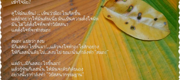 ดูให้เห็น..ไม่ใช่ดูให้หาย!