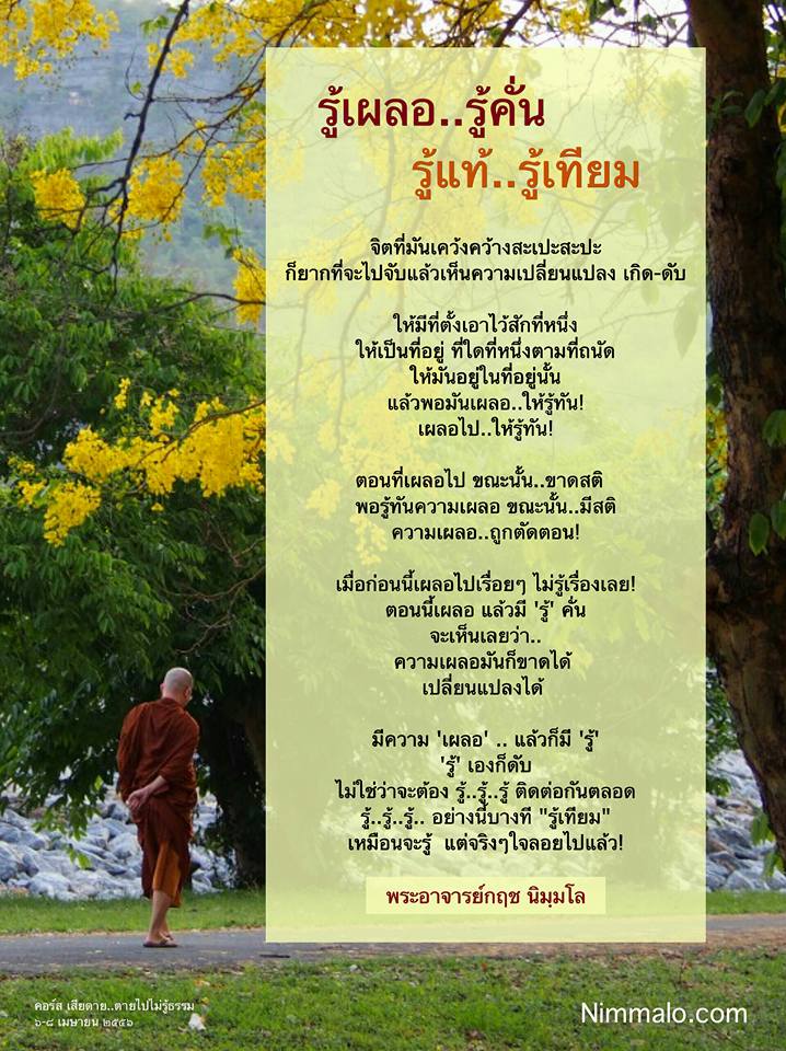 13626399_567909446725434_2645007431763446376_n