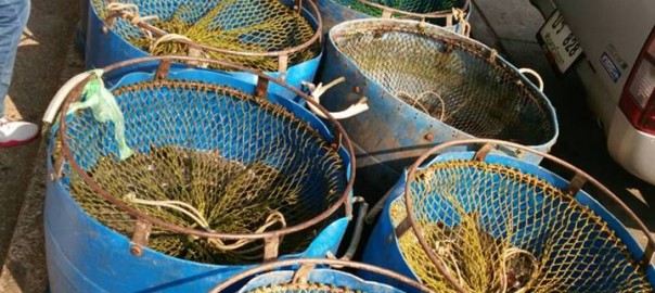 โอวาทปาติโมกข์ ข้อ “ทำกุศลให้ถึงพร้อม”