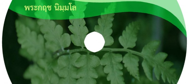 วิถีธรรม ๒