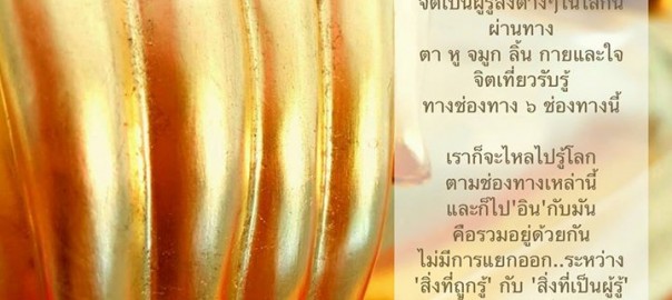 ผู้รู้ตื่น กับ ผู้หลับใหล