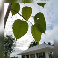 อุบายพิจารณาโทษกาม