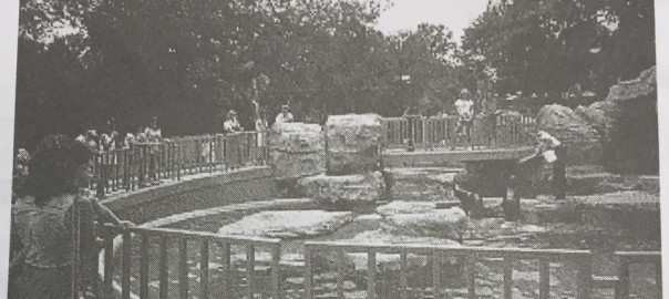 ความหมาย กามวิตก พยาบาทวิตก วิหิงสาวิตก วิหิงสาวิตก อยู่ในโมหะหรือโทสะ ?