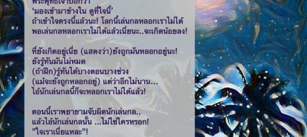 จับผิดนักเล่นกล
