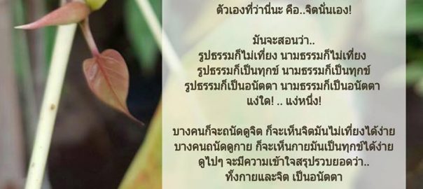 รูป – นาม สอนใจแง่ใด – แง่หนึ่ง