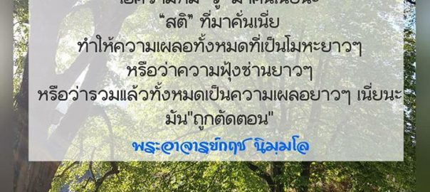 ตัดตอนความหลง