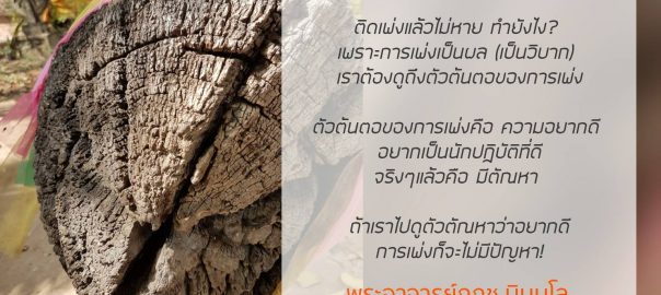 ตัณหาเป็นต้นตอของการเพ่ง