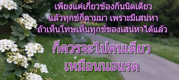 ไปคนเดียว เหมือนนอแรด